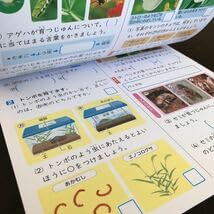 Amazon.co.jp: 0404 基礎基本理科A 3年 新学社 AB34A01M 小学 ドリル